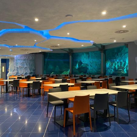 6 SeaWorld Theme Park