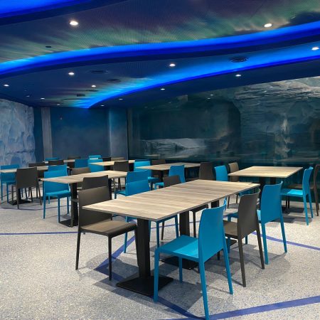 7 SeaWorld Theme Park